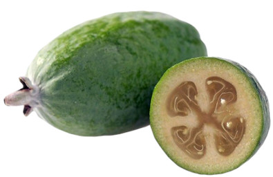 +feijoa +feijoa