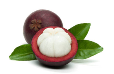 +mangostino +mangostino