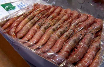 PRIMA MARIKIS PRIMA MARIKIS